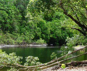 Broadwater, Abergowrie State Forest - Maitland Accommodation 0