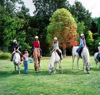 Limestone Coast Horseriding - Maitland Accommodation
