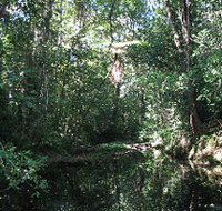 Misty Mountains Wilderness Walking Tracks - Maitland Accommodation