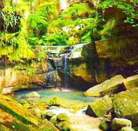 Carnarvon Gorge Carnarvon National Park - Maitland Accommodation
