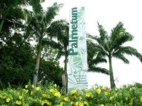 Townsville Palmetum - Maitland Accommodation 0