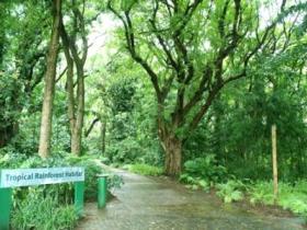 Townsville Palmetum - Maitland Accommodation 1
