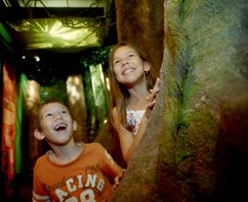 Museum Of Tropical Queensland - Maitland Accommodation 1