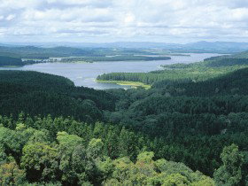  Maitland Accommodation