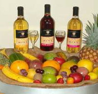 de Brueys Boutique Wines and Functions Venue - Maitland Accommodation