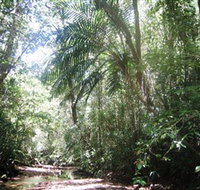 Mount Lewis National Park - Maitland Accommodation