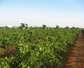 Warburn Estate - Maitland Accommodation 1