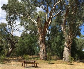 Bob Christensen Reserve - Maitland Accommodation 2