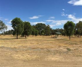 Bob Christensen Reserve - Maitland Accommodation 1