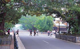 Kuranda - Village In The Rainforest - Maitland Accommodation 1
