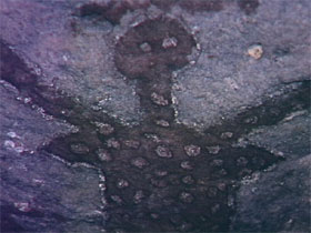 Maitland Accommodation