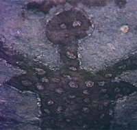 Quinkan Reserves Ancient Rock Art - Maitland Accommodation