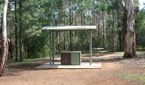Jacks Creek Walking Track - Maitland Accommodation 1
