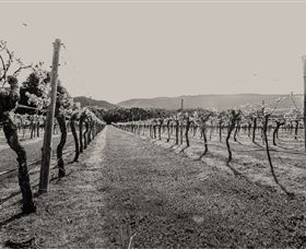 Halls Gap Estate - Maitland Accommodation 0