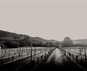 Halls Gap Estate - Maitland Accommodation 1