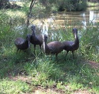 East Tolans Farm Tour - Maitland Accommodation