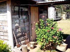 Nebo Museum - Maitland Accommodation 3