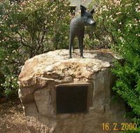 Dingo Statue - Maitland Accommodation
