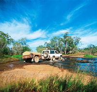Rinyirru Lakefield National Park CYPAL - Maitland Accommodation