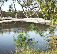 Murray Valley National Park - Maitland Accommodation