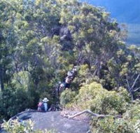 Mia Mia State Forest - Maitland Accommodation