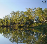 iWaterSki - Maitland Accommodation