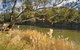 Murrumbidgee Valley National Park - thumb 3