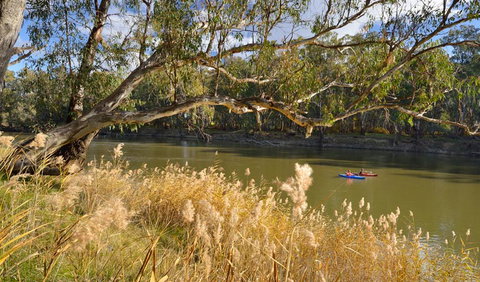 Murrumbidgee Valley National Park - Maitland Accommodation 3