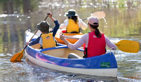 Murrumbidgee Valley National Park - Maitland Accommodation 1