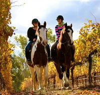 Billabong Ranch - Maitland Accommodation