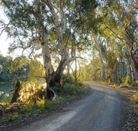 Alton Gallery - Echuca Moama Artists - Maitland Accommodation