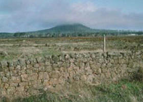 Mount Napier State Park - Maitland Accommodation 0