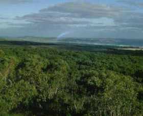 Mount Richmond National Park - Maitland Accommodation 0