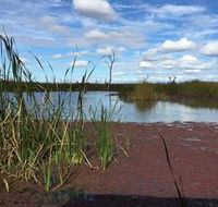 Gwydir Wetlands - Maitland Accommodation