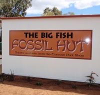 Big Fish Fossil Hut at Peak Hill - Maitland Accommodation