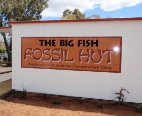 Big Fish Fossil Hut At Peak Hill - Maitland Accommodation 0