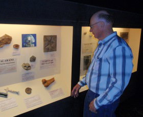 Big Fish Fossil Hut At Peak Hill - Maitland Accommodation 1