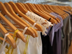 PAYA - Maitland Accommodation 0