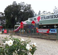 The Big Strawberry - Maitland Accommodation