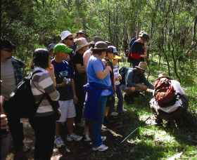 Warrumbungle National Park Discovery Program - Maitland Accommodation 0