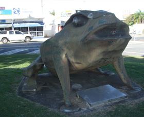 Big Cane Toad - Maitland Accommodation 0