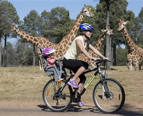 Taronga Western Plains Zoo, Dubbo - Maitland Accommodation 2