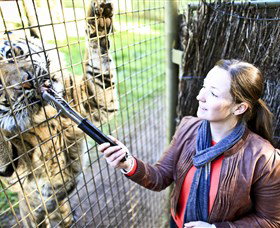 Taronga Western Plains Zoo, Dubbo - Maitland Accommodation 3