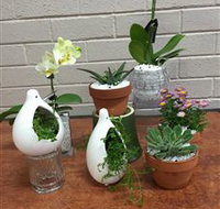 Cobram Florist - Maitland Accommodation