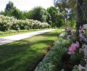 Barooga Botanical Gardens - Maitland Accommodation 0