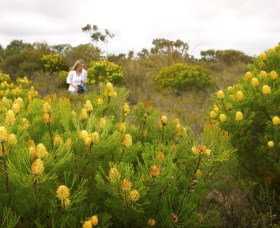 Fitzgerald Biosphere - Maitland Accommodation 1