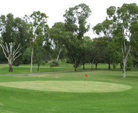 Moree Golf Club - Maitland Accommodation 0