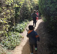 The Tangled Maze  Mistydowns Nursery