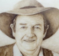 Doris Golder Wool Art Gallery - Maitland Accommodation