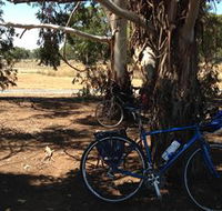 Murchison Rail Trail - Maitland Accommodation